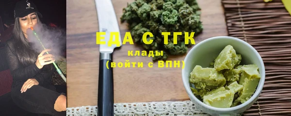 индика Надым