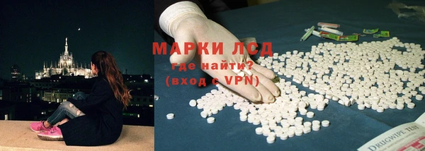 индика Надым