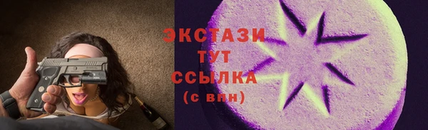 индика Надым