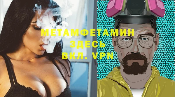 индика Надым