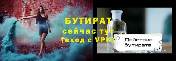 индика Надым