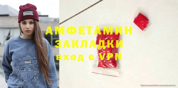 индика Надым