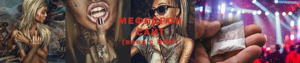 индика Надым