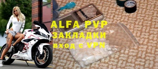 индика Надым