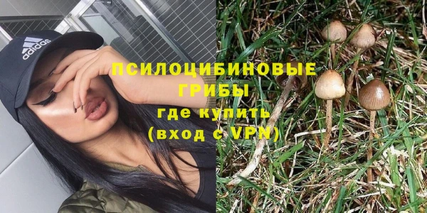 индика Надым