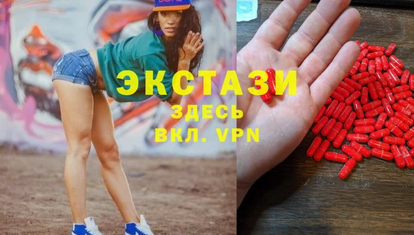 индика Надым
