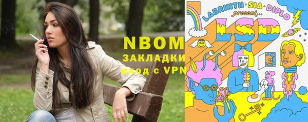 индика Надым