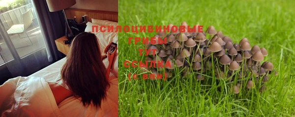 индика Надым