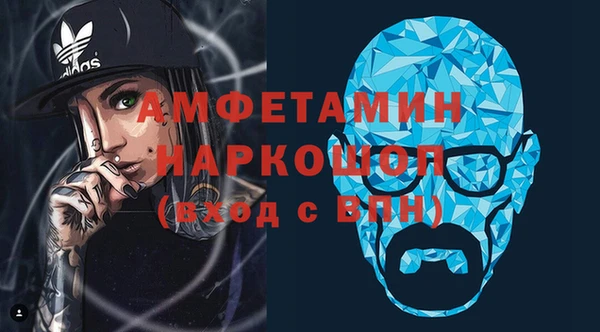 индика Надым