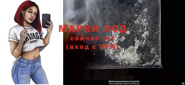 индика Надым