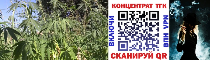 купить наркотики цена  Александровск  ТГК вейп 