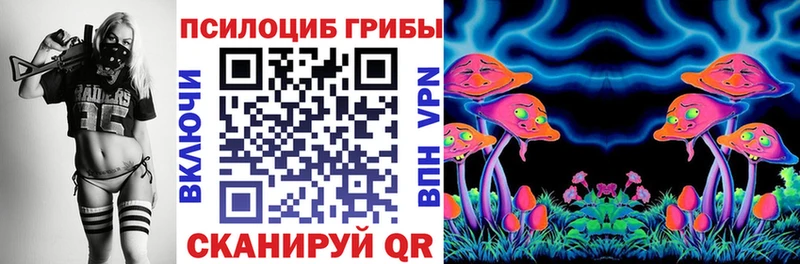 Галлюциногенные грибы Cubensis МЕГА рабочий сайт Александровск